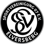 SV 07 Elversberg logo