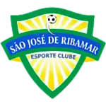 São José de Ribamar EC logo