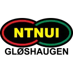 NTNUI Fotball logo