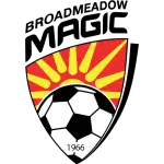 Broadmeadow Magic FC logo