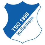 TSG 1899 Hoffenheim logo