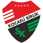 Körfez Spor logo