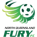 North Q Fury logo