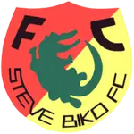 Steve Biko logo