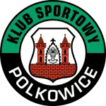 KS Górnik Polkowice logo