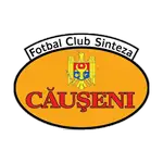 FC Sinteza Căuşeni logo