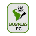 Buffles de Borgou FC logo