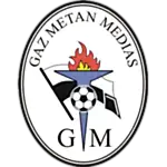 Gaz Metan logo