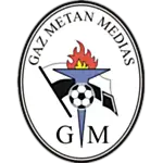 CS Gaz Metan Mediaş logo