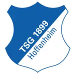 TSG 1899 Hoffenheim Under 19 logo