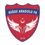 Niğde Anadolu logo