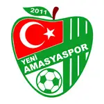 Yeni Amasya Spor Kulübü logo