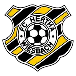 Wiesbach logo