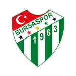 Bursaspor Kulübü Under 19 logo