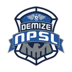 Demize logo