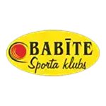 SK Babīte / Dinamo logo