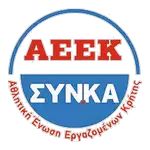 AEEK SYN.KA logo