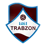 1461 Trabzon Spor Kulübü Under 19 logo