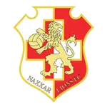 Naxxar Lions FC logo