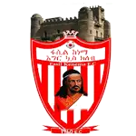 Fasil Kenema SC logo