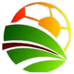 Ciudad Vinotinto FC logo