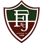 Fluminense FC de Joinville logo