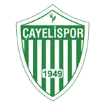 Çayelispor logo