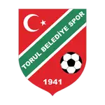 Torul Belediye Gençlik VE Spor logo