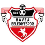 Havza Belediye Spor Kulübü logo