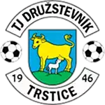 TJ Družstevník Trstice logo