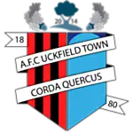 AFC Uckfield Town logo