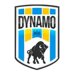 Dinamo PLC logo