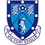 Rugby Town FC logo