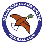 Ballinamallard logo