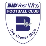 Bidvest Wits FC logo