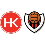 HK Kópavogur / Víkingur Reykjavik logo