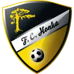 Pallohonka logo