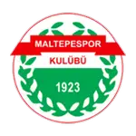 Maltepespor logo