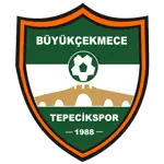 Büyükçekmece Tepecik Spor Kulübü logo