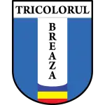 Tricolorul Breaza logo