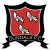 Dundalk logo