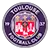 Toulouse II logo