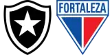 Botafogo vs Fortaleza