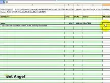 Automated Betfair trading with Bet Angel and Excel 2/3