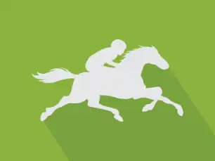 Horse Betting - we're on track! Progressive