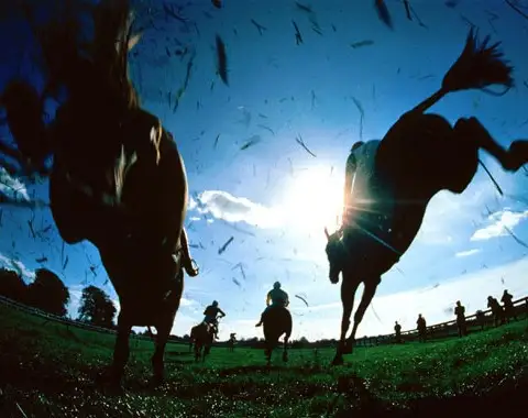 Quais são os conceitos básicos das corridas de cavalos no Reino Unido?