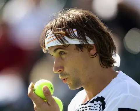 Análise do jogo: David Ferrer vs Ivo Karlovic (ATP 250 de Viena)