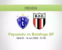 Paysandu Botafogo SP betting prediction (14 June 2025)