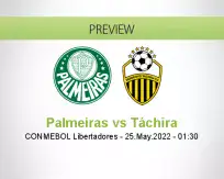 Palmeiras Táchira betting prediction (25 May 2022)