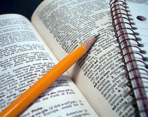 Introdução a como Apostar Online